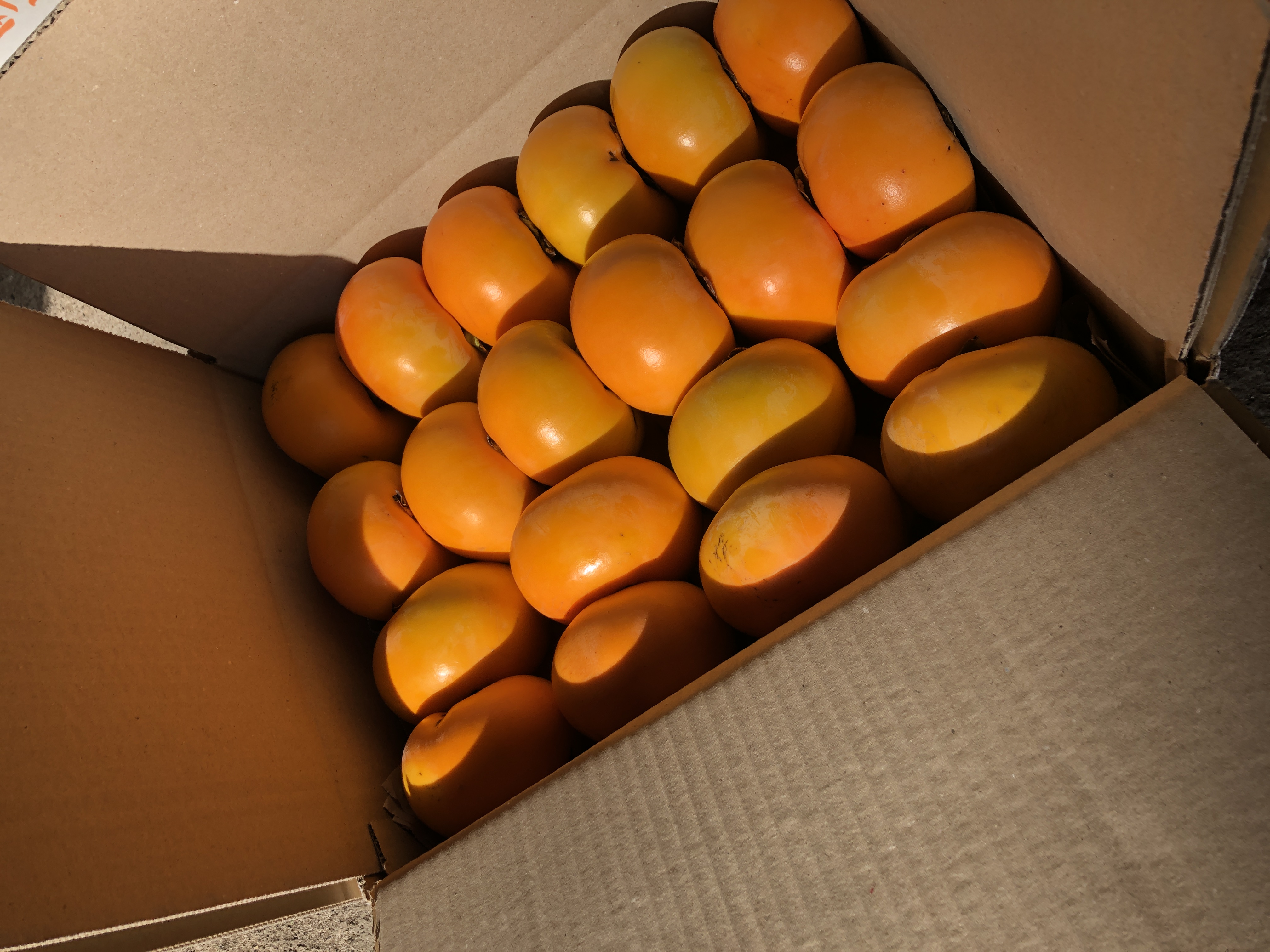 桐箱パッケージ