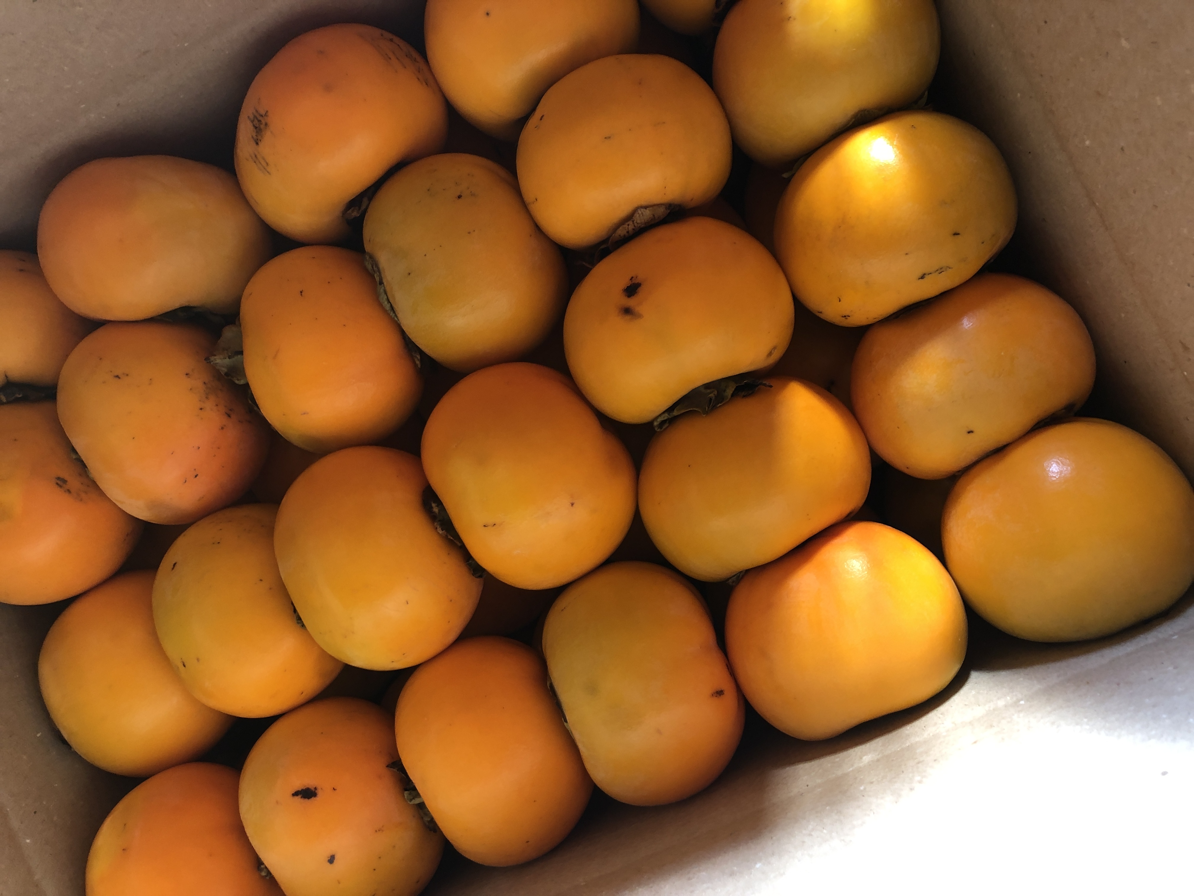 メッセージカード